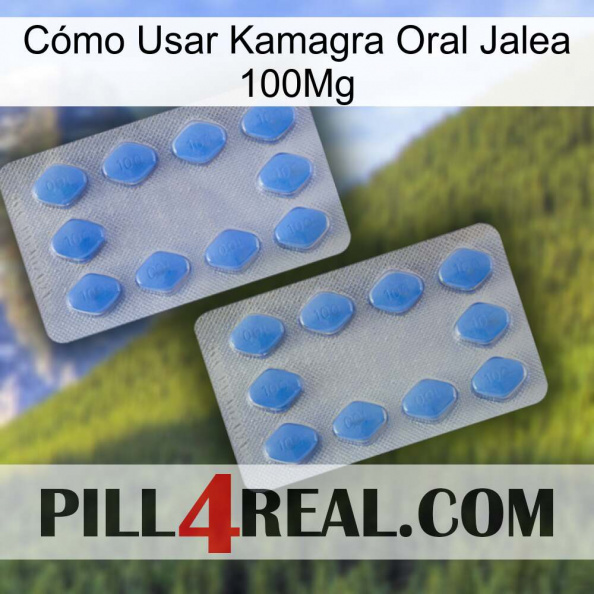 Cómo Usar Kamagra Oral Jalea 100Mg 20.jpg